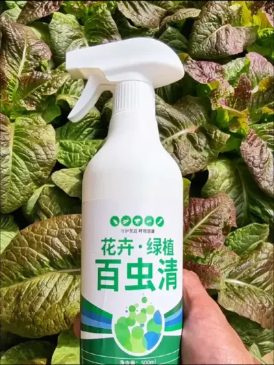 春季种植的瓜果蔬菜老生虫子该怎么办呢？就用这个#百虫清 来喷一喷#蔬菜种植 #虫害防治 #防虫小妙招 #养花小知识