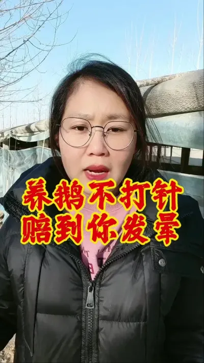 养鹅不打针，赔到你发昏#养鹅 #养鹅技术分享 #科学养鹅 #养鹅人 #鹅