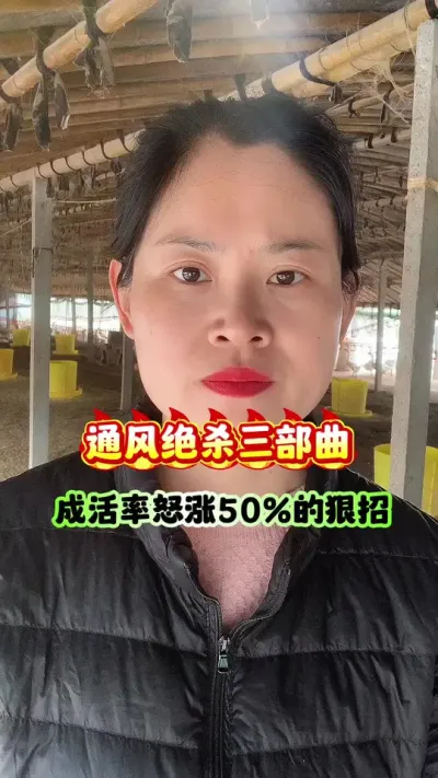 痛风绝杀三部曲，成活率怒涨50%的狠招。#每天分享养殖技术和经验 #养鹅技术分享 #养鹅人 #狮头鹅 #农村创业养殖