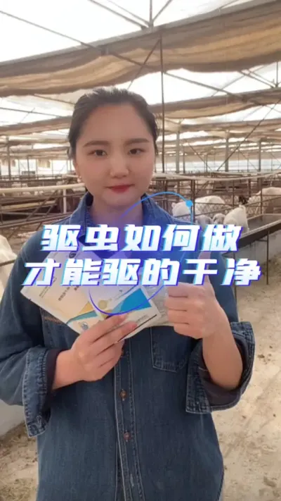 驱虫做的好，养羊没烦恼#牛羊驱虫 #驱虫药 #牛羊驱虫新方法#养羊人