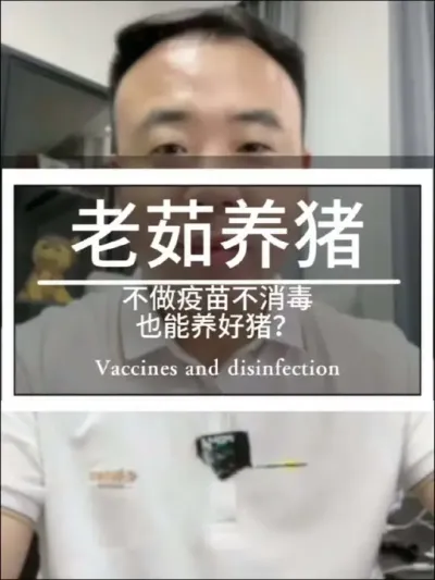不做疫苗不消毒，也能养好猪吗？听听茹老师怎么说。#创作灵感#养猪人 #每天分享养殖技术和经验