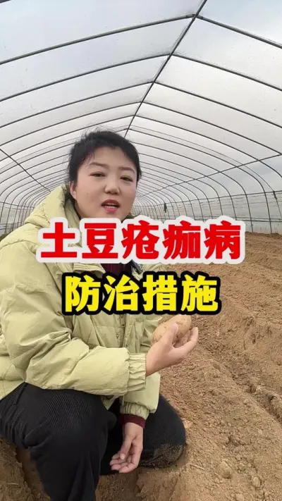 土豆疮痂病的防治措施#土豆高产种植 #土豆 @抖音小助手