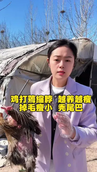 鸡打蔫缩脖越养越瘦，掉毛吃毛吃鸡蛋秃尾巴 #科学养鸡 #鸡鸭鹅养殖 #鸡病防治 #养鸡人 #抖音养鸡人