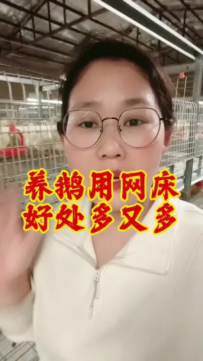 养鹅用网床，好处多又多#养鹅技术分享 #养鹅 #养鹅人 #鹅 #科学养鹅