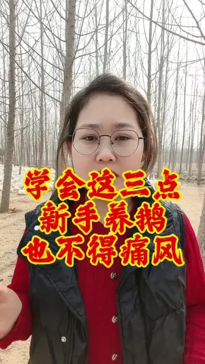 学会这三点，新手养鹅也不得痛风#养鹅 #鹅 #养鹅人 #养鹅技术分享 #养鹅专业户