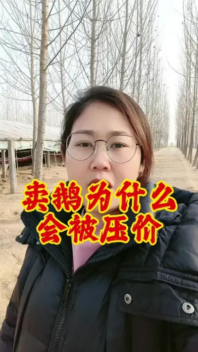 卖鹅为什么会被压价#养鹅技术分享 #科学养鹅 #养鹅 #养鹅人 #鹅