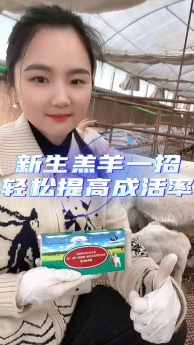 轻松提高羊羔成活率#养羊技术分享 #养羊创业 #养羊知识