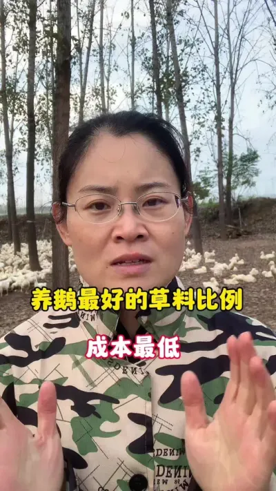 养鹅最好的草和料的比例，这样喂成本最低，还能更好的把鹅养好。#养鹅 #科学养鹅 #养鹅技术分享 #三农#养鹅人