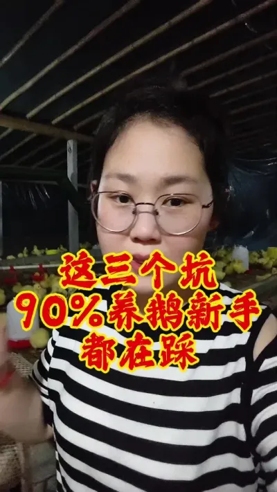 这三个坑，90%的养鹅人都在踩#养鹅 #养鹅人 #鹅 #养鹅技术分享 #三农
