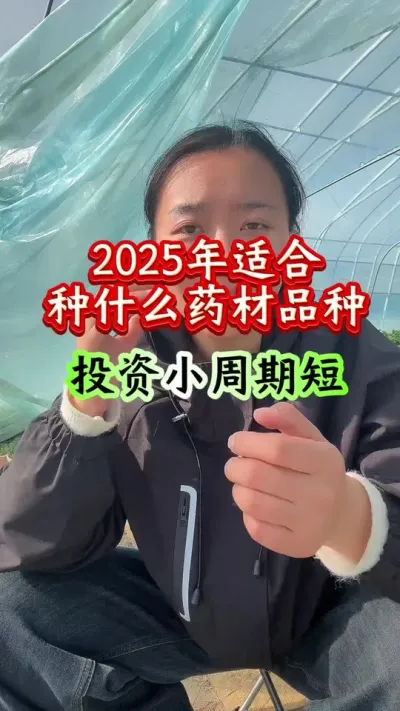 药材种植 2025年适合种什么药材品种 #药材种植 #药材管理