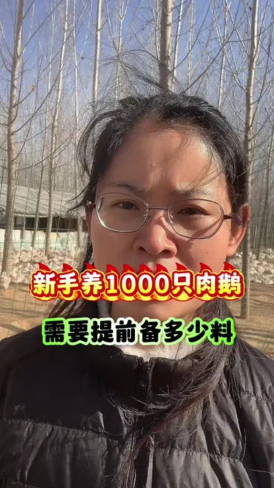 新手养1000只鹅需要提前备多少料？#狮头鹅 #养鹅技术分享 #养鹅人 #三农 #养鹅