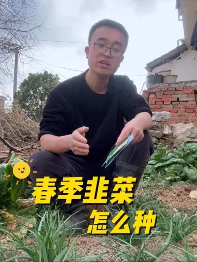 春季韭菜怎么种？什么时候种？韭菜种植方法#种植小技巧 #关注我一起学种菜 #在家种菜 #阳台小院均可种植 #田间地头走一走