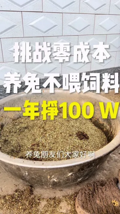 绿色生态养兔不喂饲料 #养兔三分靠管理七分靠技术 #挑战养兔年入100万 #养兔子注意事项 #科学养兔 #支持三农扶持三农发展
