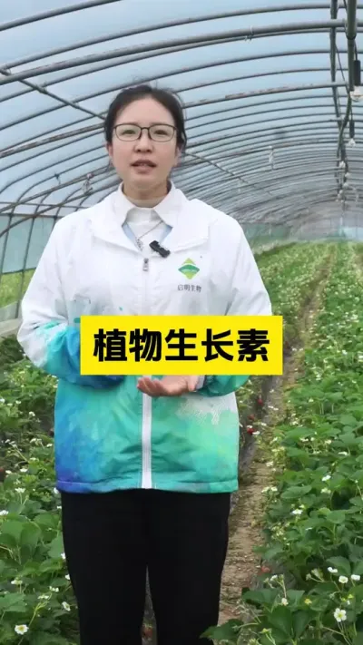聊聊常用的植物生长素有哪些，分别有什么作用！#启明生物大师姐 #农业种植 #农业技术推广 #新农人计划 #科学种植