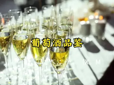 葡萄酒品鉴适用温度？#泡葡萄酒的正确方法 @云食界