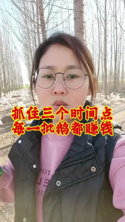 抓住这三个时间点，每一批鹅都比别人多赚钱#养鹅技术分享 #科学养鹅 #养鹅 #养鹅技术 #鹅