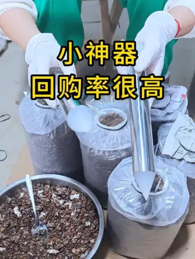 平菇种植，这个小神器帮大忙，山东一个大基地一直在用它，你也试试吧。#平菇种植 #打孔器 #菌种打孔器