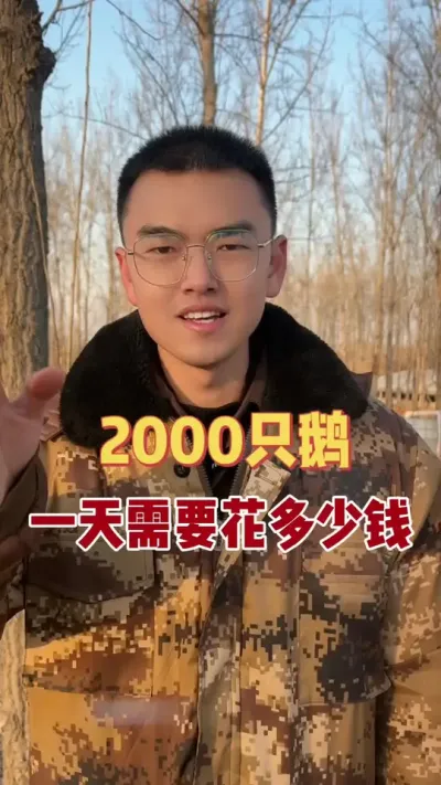 养2000只鹅，一天需要花多少钱呢？您听我仔细给您算算！#养鹅人 #养鹅技术找晓雨