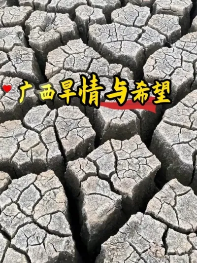 广西旱灾肆虐，有一群人用灌溉科技守护希望！#广西旱灾  #水肥一体化 #华维灌溉有旱无灾 #三农