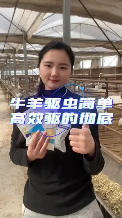 牛羊驱虫简单高效#牛羊驱虫 #春季驱虫是关键 #牛羊驱虫药 #春季牛羊驱虫