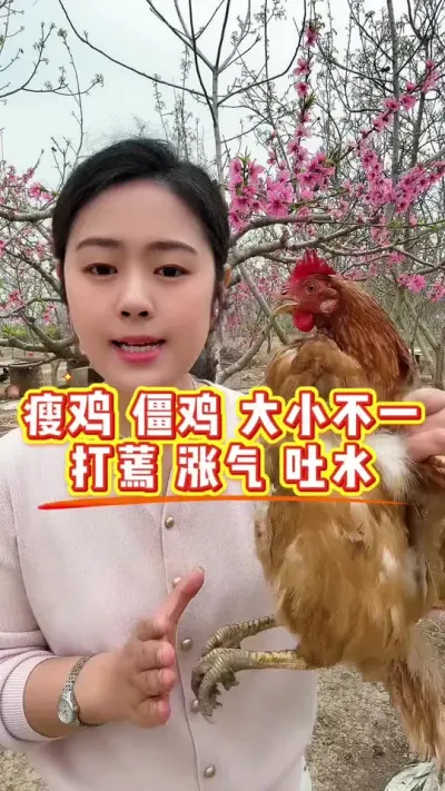 瘦鸡僵鸡大小不一，打蔫吐水涨气，三五挂掉 #养鸡#鸡病防治#科学养鸡#养鸡妙招#散养土鸡