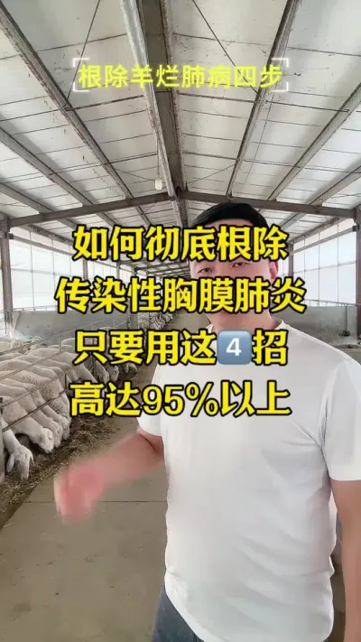 如何的彻底根除传染新型肺炎，只需要记住这4招#传染性胸膜肺炎 #烂肺病