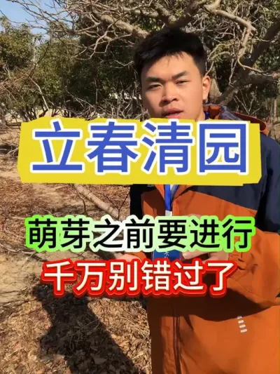 清园要赶在萌芽前进行，千万别错过了#果树管理 #病虫害防治 #果树种植 #果园管理