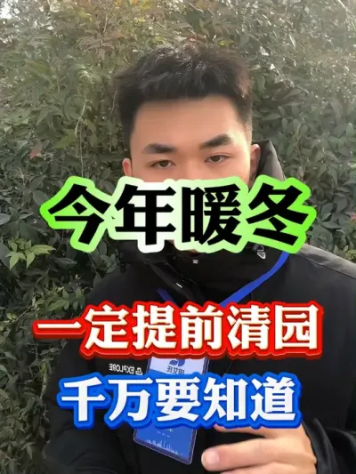 今年暖冬，一定要冬季提前清园#果树种植 #果园管理 #果树管理 #病虫害防治