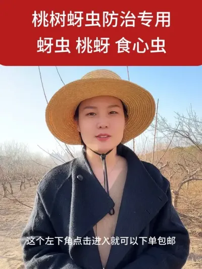 年后桃树蚜虫防治 #果树种植 #助力果农 #桃树种植 #桃树管理