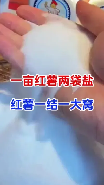 一亩红薯一袋盐，一结一大窝#红薯种植#红薯管理#红薯施肥#红薯高产
