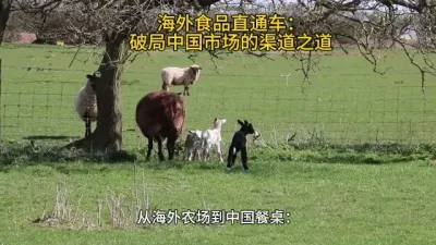 进口食品渠道穿透策略：从海外农场到中国餐桌的捷径@云食界展贸服务平台