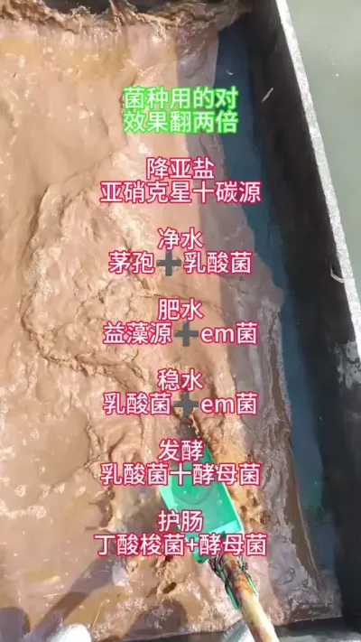 菌种如何搭配使用 #水产养殖 #高密度养殖 #鱼虾蟹养殖 #特种水产 @抖加🔥上热门🔥dou+🔥热点宝