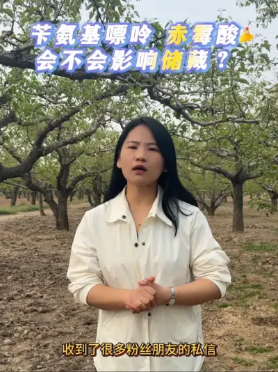 苄胺基嘌呤赤霉酸什么时候用，有什么影响？#来抖音学农技 #果树管理 #梨树 #赤霉酸 #三农服务