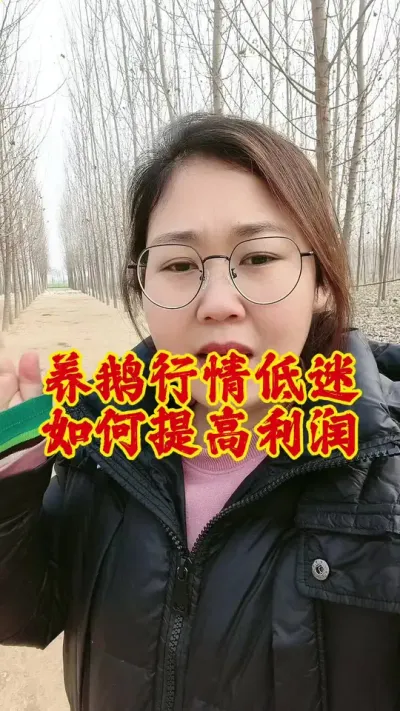 养鹅行情低迷，如何降本增效#养鹅技术分享 #科学养鹅 #养鹅 #养鹅人 #鹅
