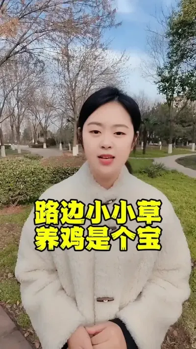 路边小小草喂鸡是个宝#养鸡#养鸡妙招#科学养鸡#鸡鸭鹅养殖#散养土鸡