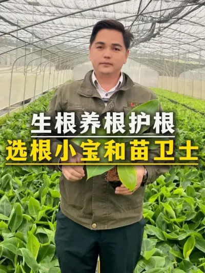 生根养根护根
就选根小宝和苗卫士#农业种植 #三农 #香蕉种植 #香蕉 #肥料