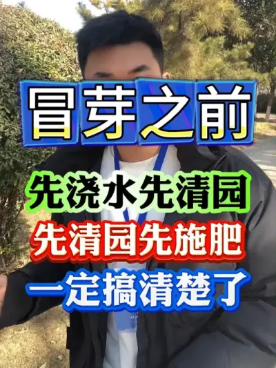 果树冒芽之前先浇水还是清园施肥#果树种植 #果树管理 #果园管理 #病虫害防治