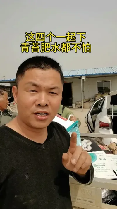这四个一起下，青苔肥水都不怕 #水产养殖 #河蟹养殖 #
