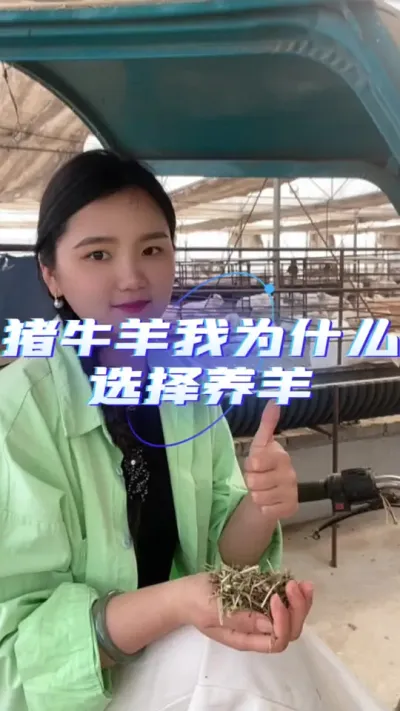 猪牛羊，我为什么选择了养羊呢#养羊技术分享 #三农 #养羊知识 #羊价行情 #自繁自养