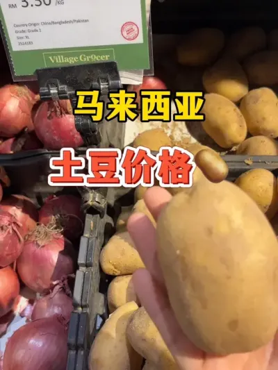 看看马来西亚土豆卖多少钱#土豆 @抖音小助手 #打卡