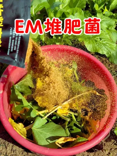 EM堆肥菌 #种植小技巧 #种菜 #在家种菜 #堆肥 #变废为宝