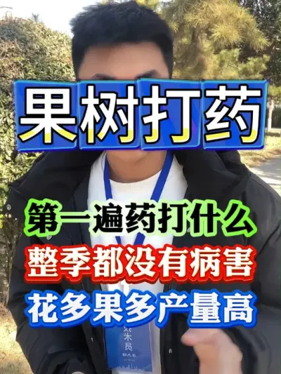 雨水节气马上到来，2025第一遍药到底打什么效果最好呢#果树种植 #果树管理 #果园管理