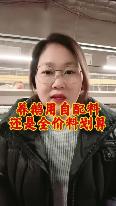 养鹅用自配料划算还是全价料划算#养鹅技术分享 #养鹅 #养鹅人 #鹅 #科学养鹅