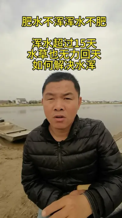 肥水不浑浑水不肥，如何解决水浑。 浑水超过15天水草也无力回天#水产养殖 #养蟹发哥 ##河蟹养殖