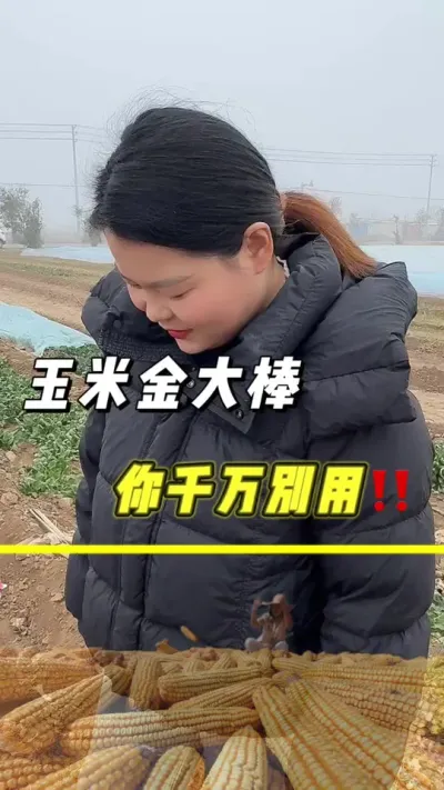 玉米金大棒，千万别用，我怕你用了停不下来#玉米 #农业 #玉米种植 #三农