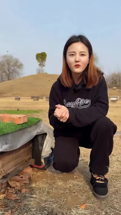 #养蜂技术分享 #蜂农 #蜂群