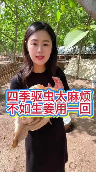 #科学养鸡 #鸡鸭鹅养殖 #服务三农支持三农 #抖音养鸡人 #鸡鸭鹅