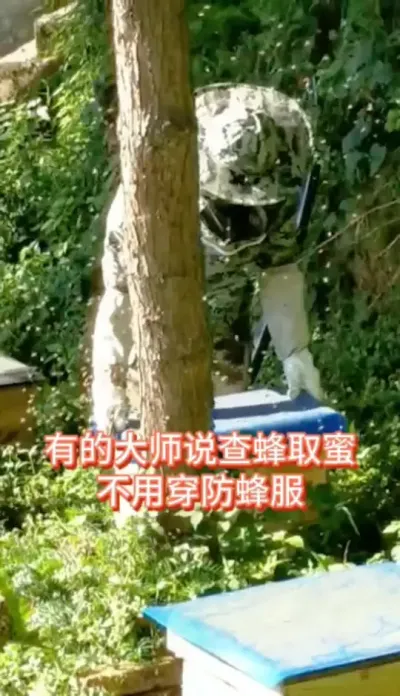 一个字，很痛#蜜蜂养殖 #三农 #防蜂服