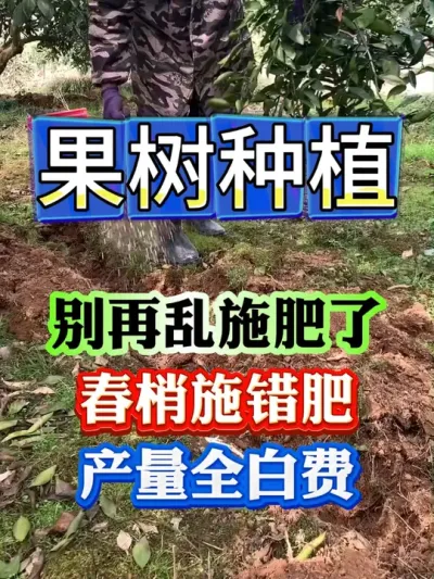 千万别给果树乱施肥了#果树种植 #果树管理 #果园管理