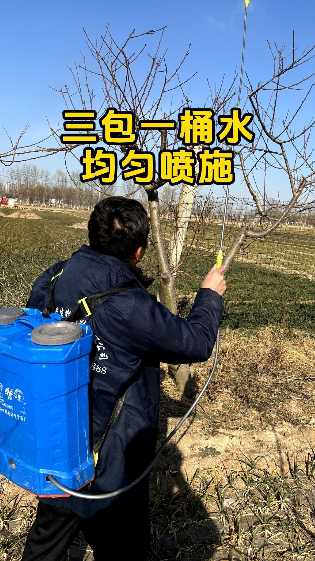 http://static.ixuenong.com/pxn/uploads/prod/thirdfile/2025/05/2d641ad0be233b3abff2971145e20e34.jpg